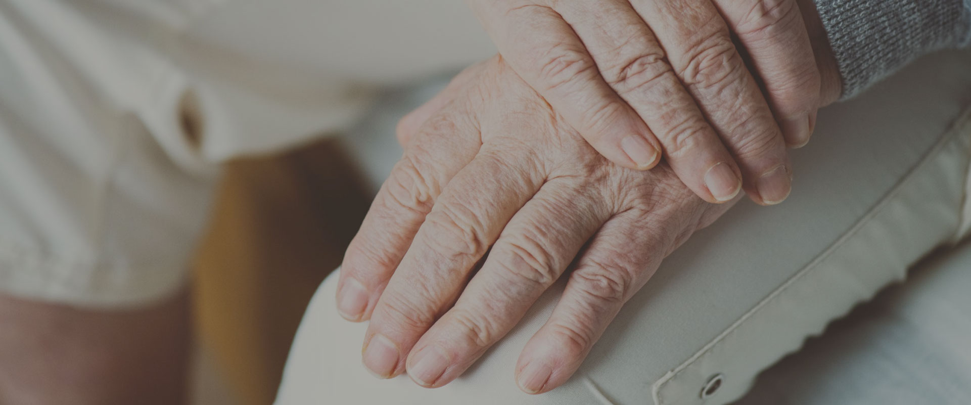 Geriatrico Las Camelias